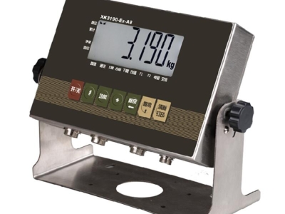 XK3190-Ex-A8防爆地上衡顯示器 防爆臺(tái)秤儀表 本安型電子秤儀表