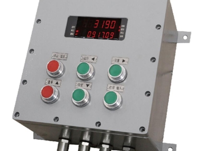 XK3190-C602G隔爆型稱重儀表 防爆秤稱重儀表